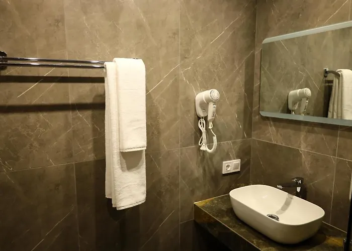 酒店 карпатія *